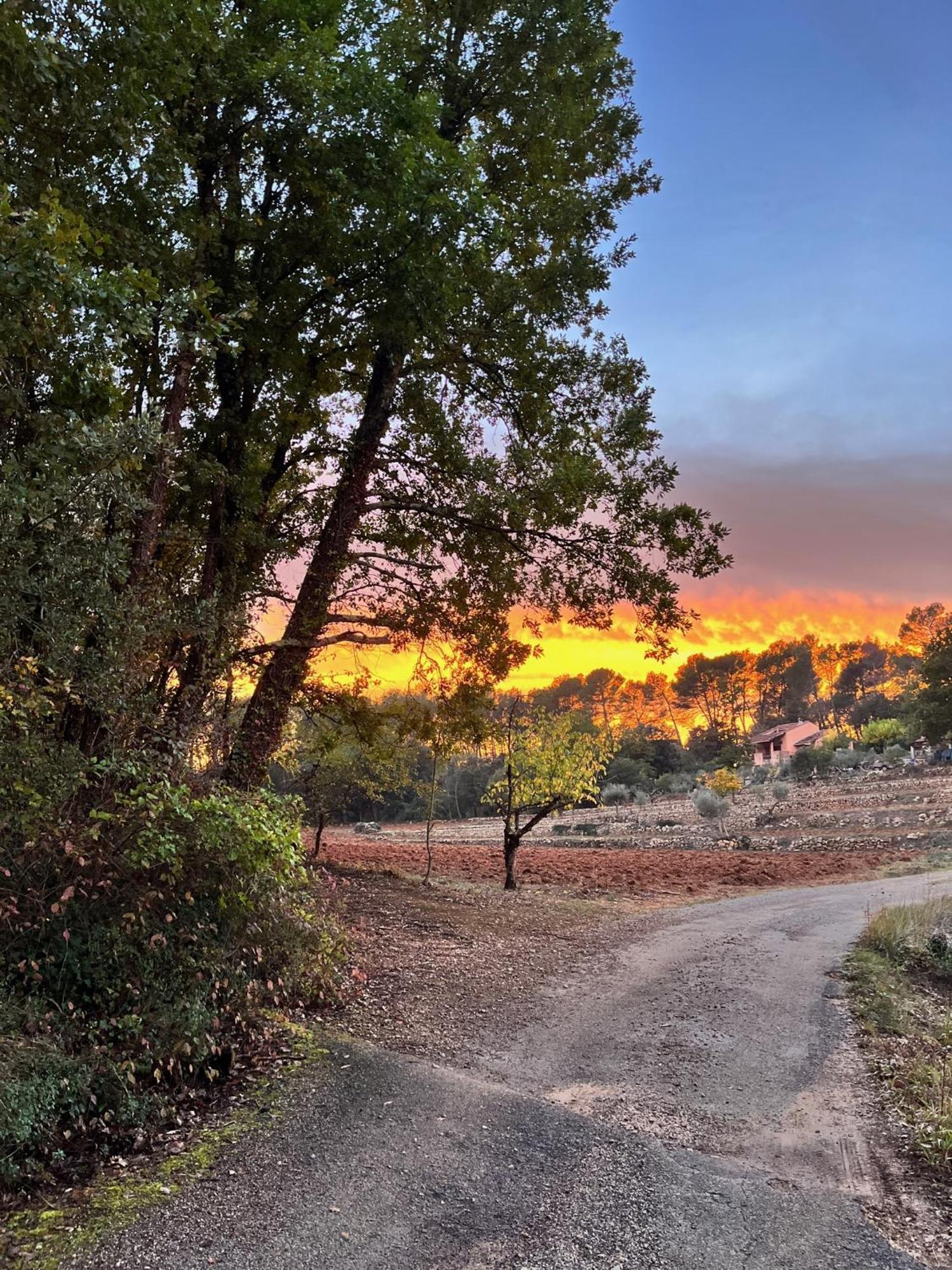 La Parenthese Du Var - Chambre D'Hotes Petits Dejeuners Inclus Et Terrasse Ombragee Saint-Antonin-du-Var Bagian luar foto