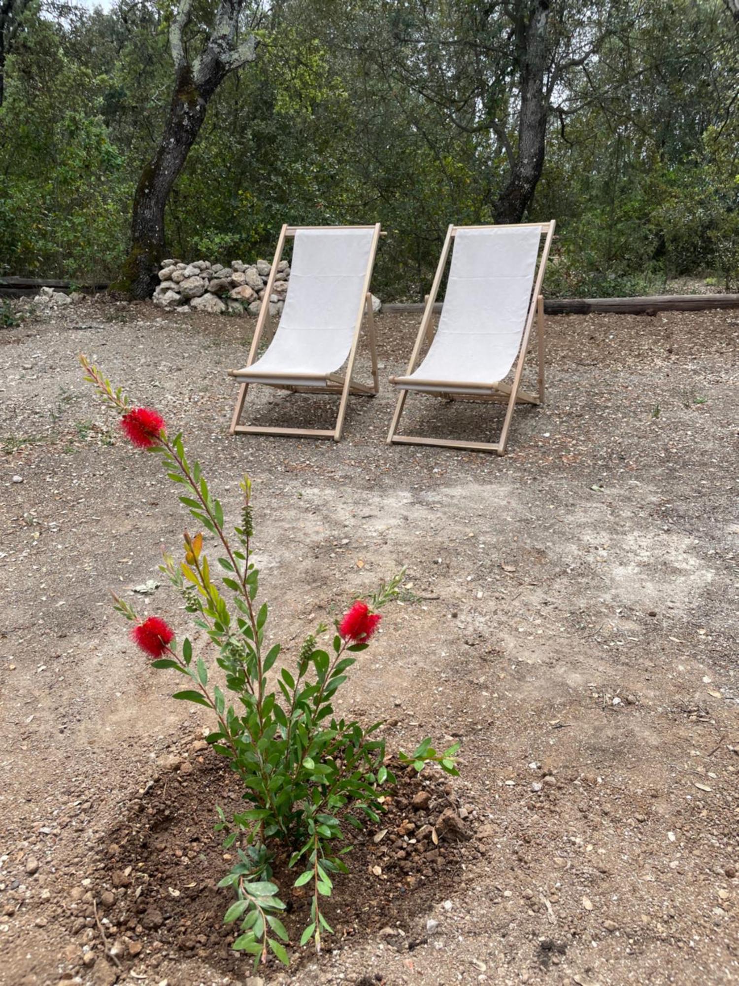 La Parenthese Du Var - Chambre D'Hotes Petits Dejeuners Inclus Et Terrasse Ombragee Saint-Antonin-du-Var Bagian luar foto